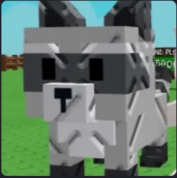 Raccoon (Super)