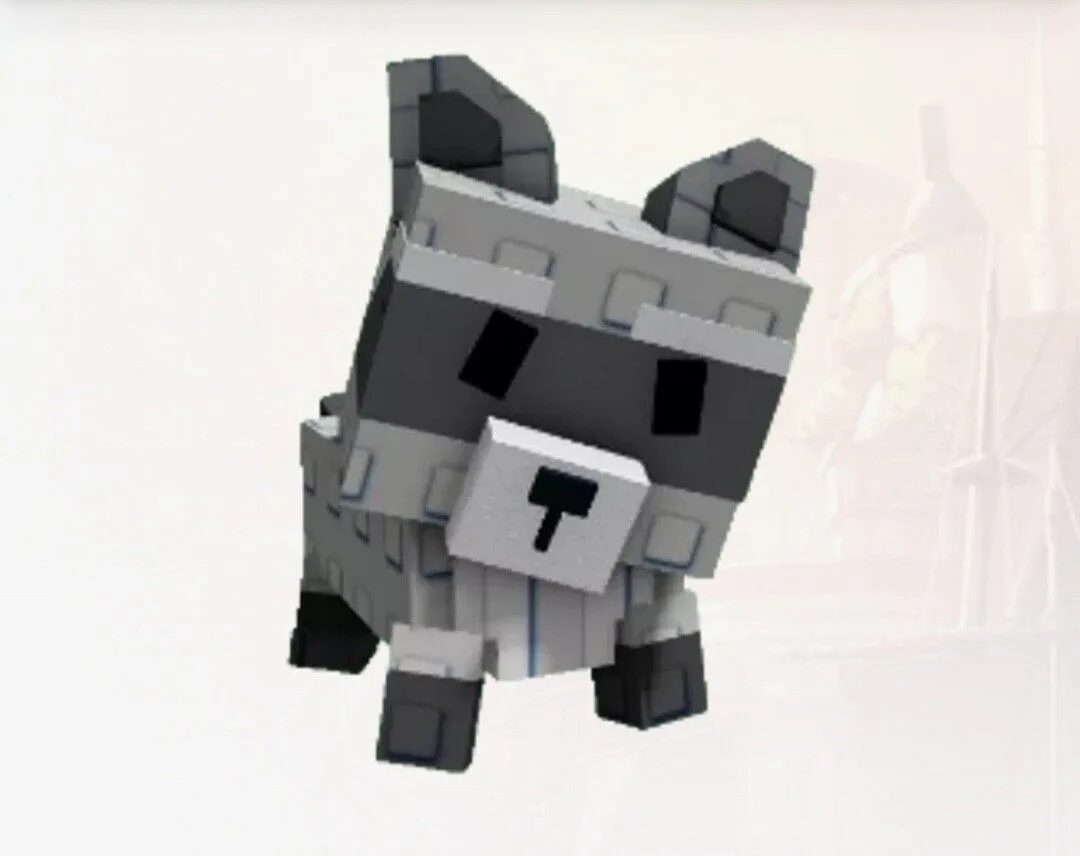 Raccoon (Super)