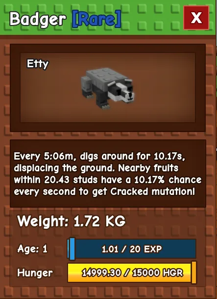 Badger RARE Age 1 1.72KG