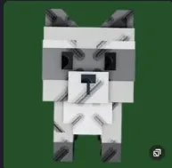 Raccoon (Super) — Account account