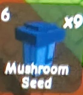 Mushroom Seed — Account account