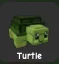 Turtle GAG 2 (Rare) — Account account