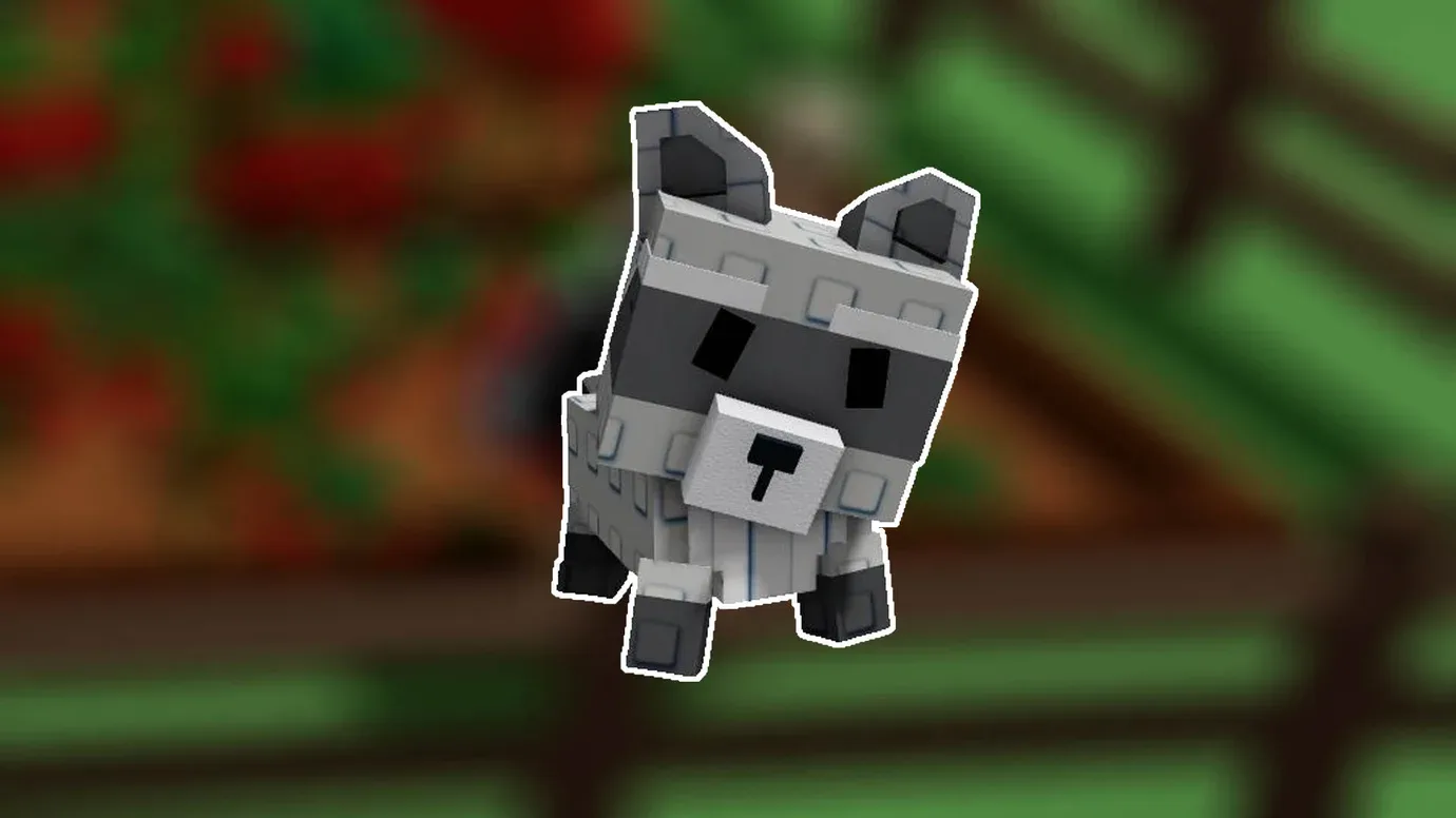 Raccoon (Super) — Account account