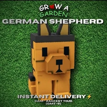 GERMAN SHEPHERD 60/61KG — Account account