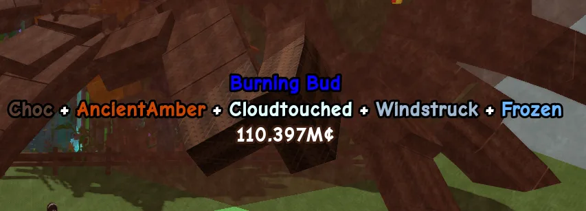 X2 HUGE BURNING BUD PLANT