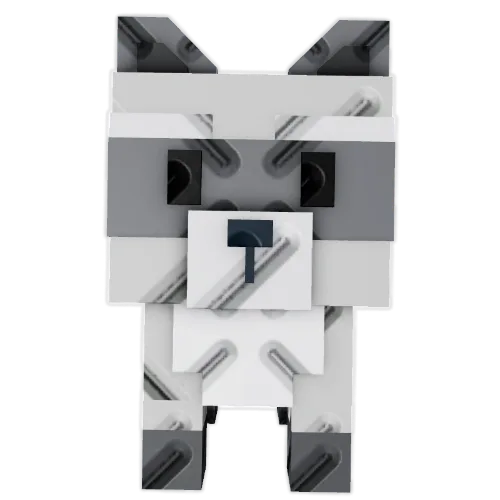 Raccoon — Account account
