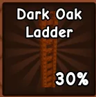 dark oak ladder