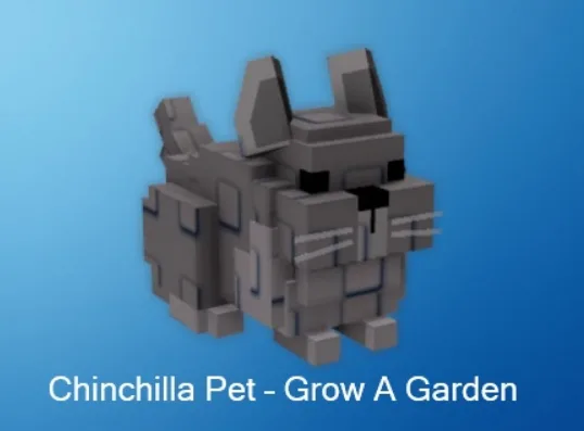 2x Chinchillas — Account account