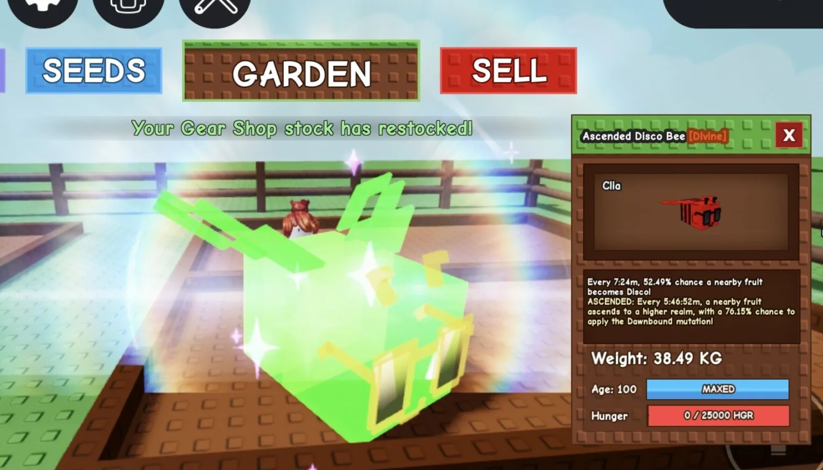 Huge ASCENDED Disco Bee - 38.49 KG (Age 100) — Account account