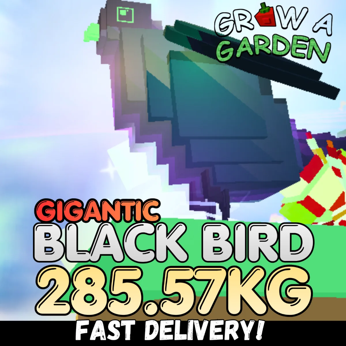 GIGANTIC Rainbow Hatched Black Bird 285.57KG Huge Age 500 INSTANT DELIVERY