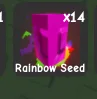 x1 Maple Rainbow Seed