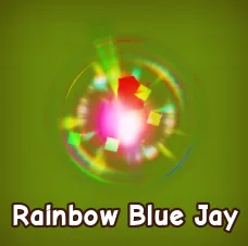 Rainbow Blue Jay Instant Delivery