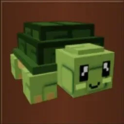 Bear (Rare) — Account account