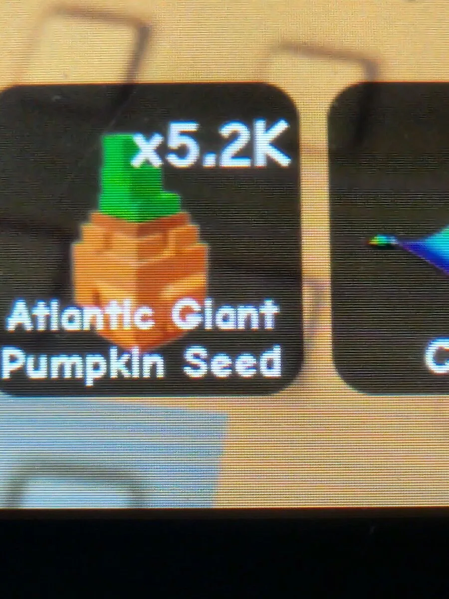 Atlantic Giant Pumpkin Seed (Super)