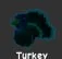 Turkey (Rare)