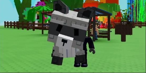Raccoon (Devine Pet)