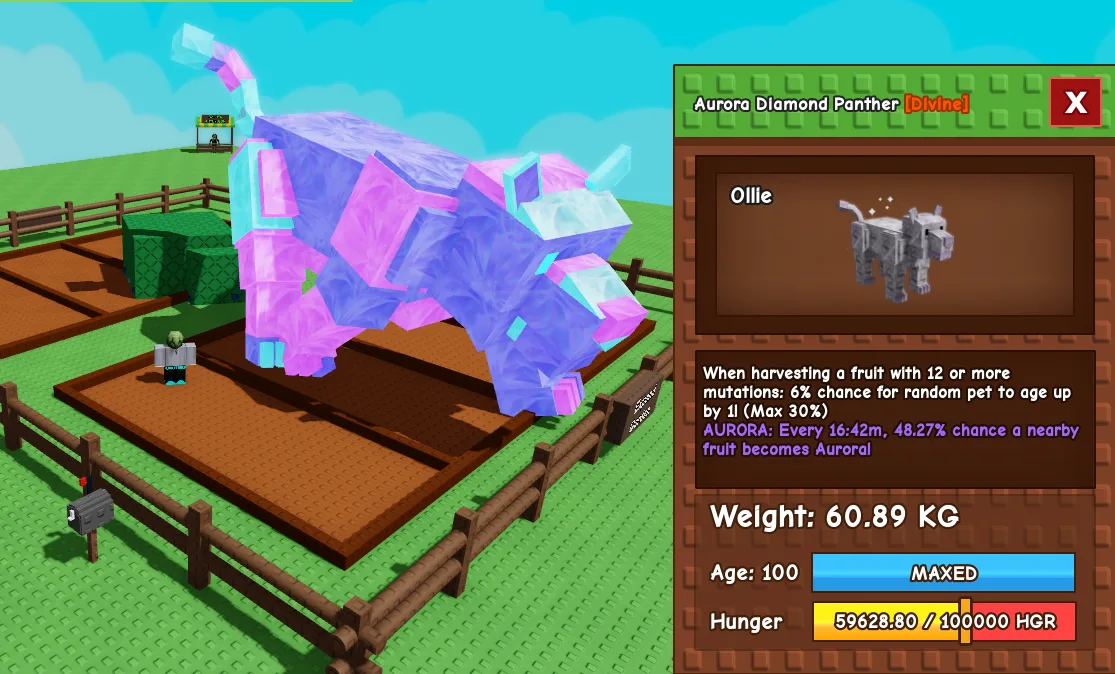 60.89kg Age 100 Aurora Diamond Panther