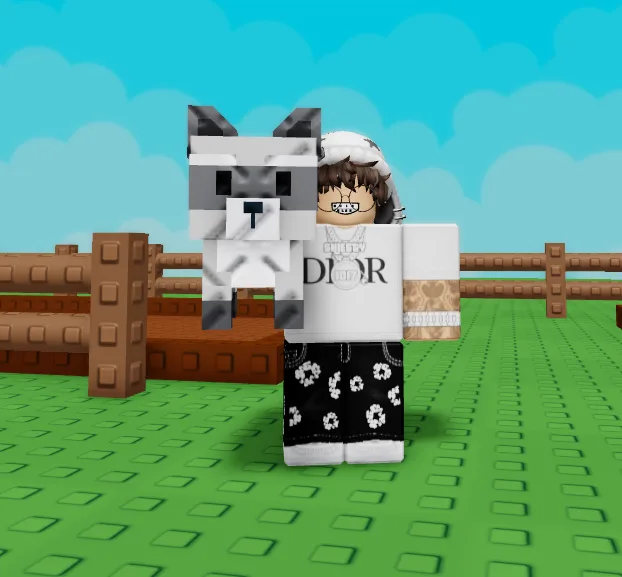 RACCOON GROW A GARDEN 2 — Account account
