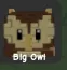 Owl (Uncommon) — Account account