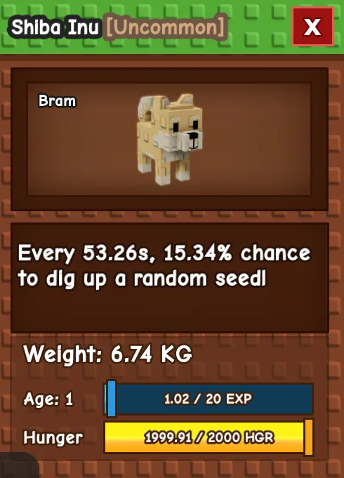 HUGE SHIBA INU AGE 1 6.74KG GAG PET INSTANT DELIVERY — Account account