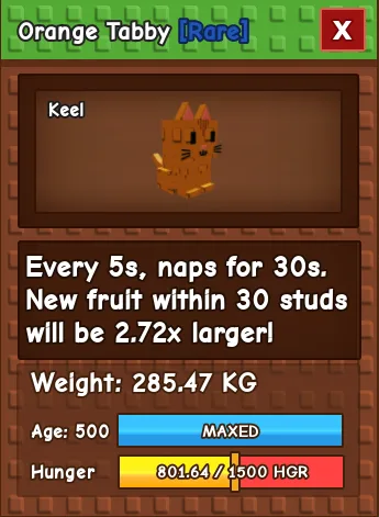 5s skill Orange Tabby AGE 500