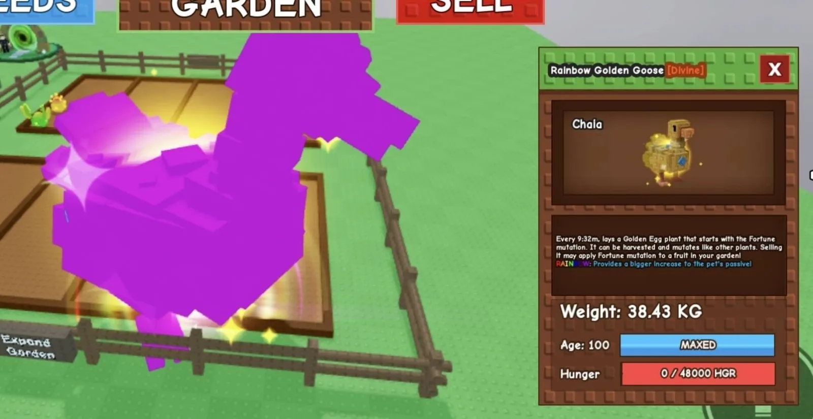 Huge RAINBOW Golden Goose - 38.43 KG (Age 100) — Account account