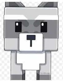 Raccoon (Super)