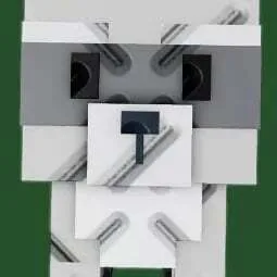 Raccoon (Super)