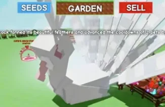 Albino Peacock