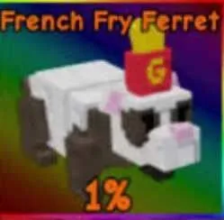 French Fry Ferret Random Age/KG BEST FAST DELIVERY