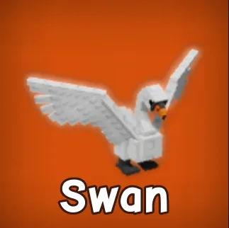 Swan