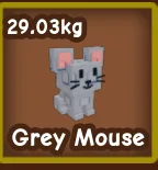 Rainbow Grey Mouse Fast Delivery
