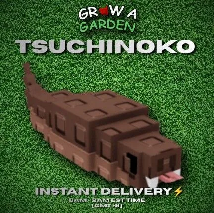 TSUCHINOKO 60/61KG — Account account