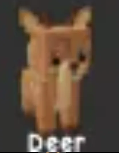 Deer