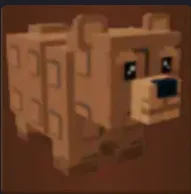 Bear — Account account