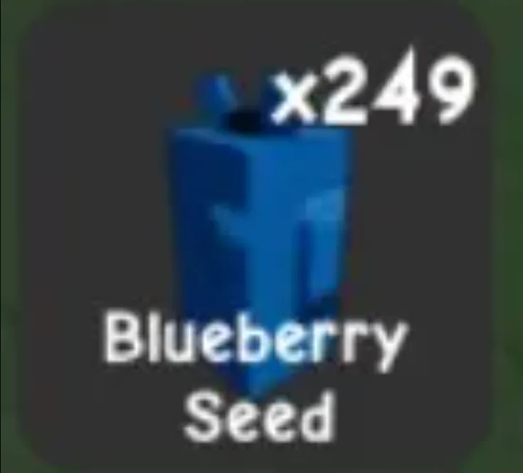 Blueberry Seed