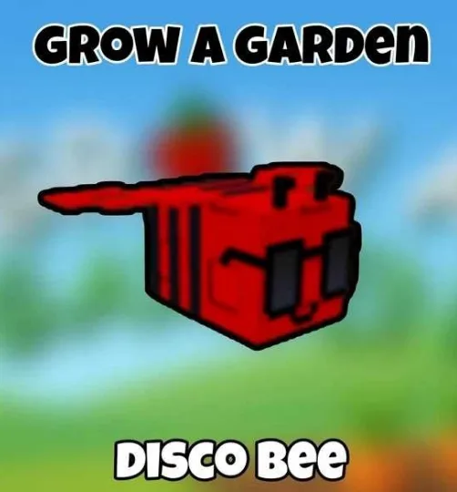 Disco Bee Instant Delivery — Account account
