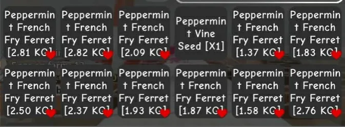 Peppermint French fry ferret — Account account
