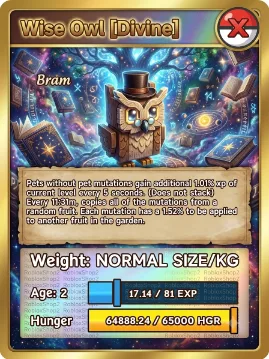 NEW WISE OWL RANDOM AGE l READY TO USE - RANDOM MAX CD - NO TOY SUPER META LIMITED STOCK