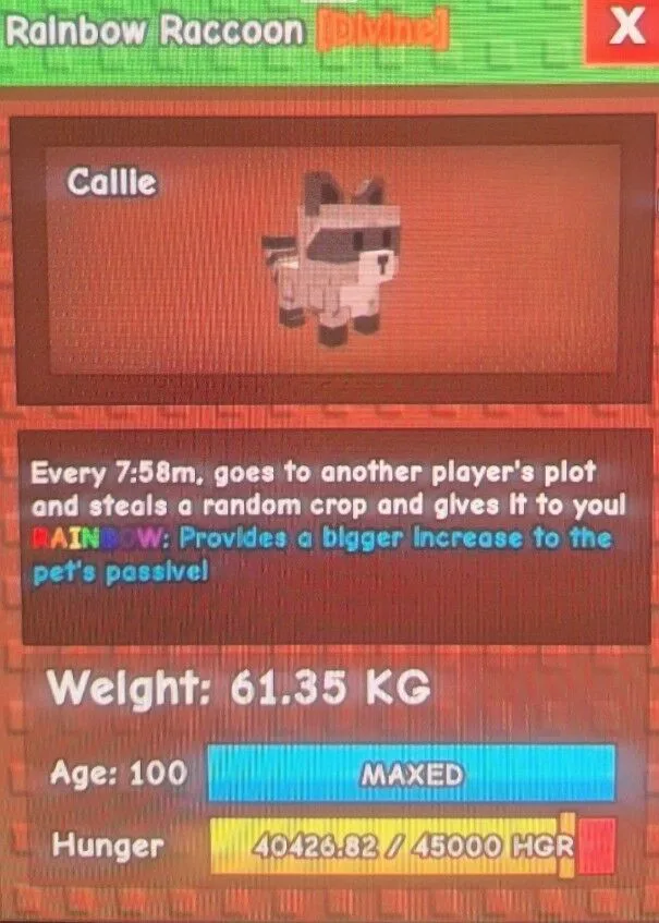 60KG-61KG RAINBOW RACCOON — Account account