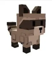 Raccoon (Mythic) — Account account