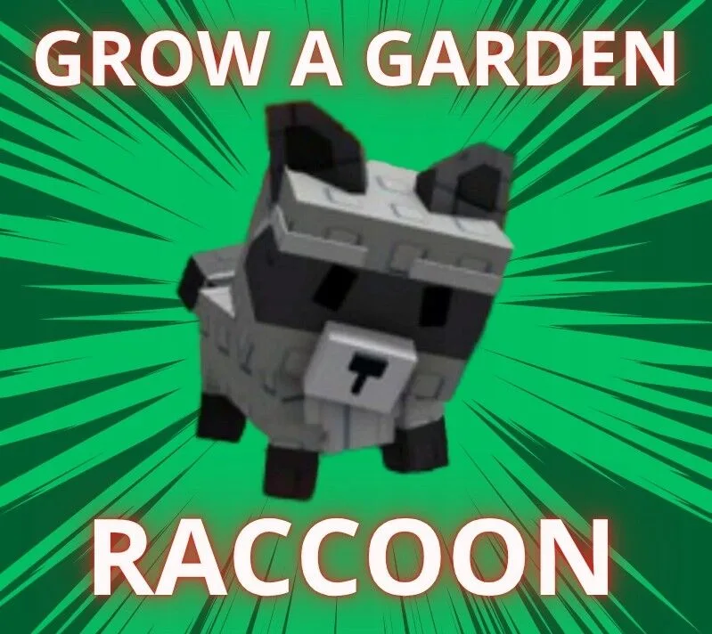 Raccoon (Super)