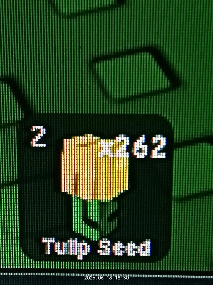Tulip Seed (Uncommon) — Account account