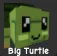 Turtle (Rare)