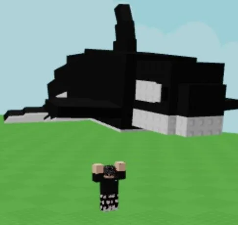 Orca pet