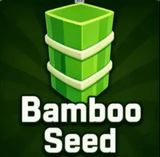 Bamboo Seed