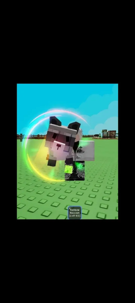 RAINBOW RACCOON — Account account