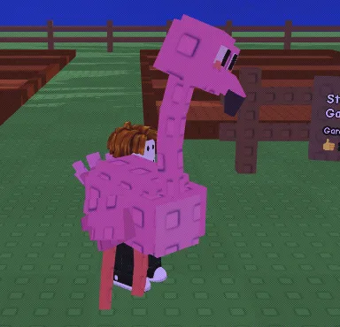 Flamingo (7,32 Kg. Age 40 )
