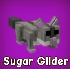 Sugar Glider Fast Delivery