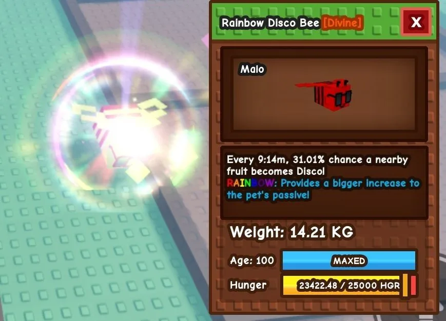 RAINBOW Disco Bee - 14.21 KG (Age 100)